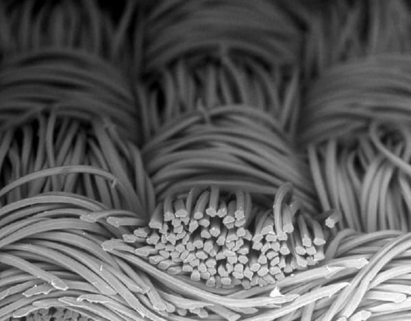 fiber-lubrication-resilience