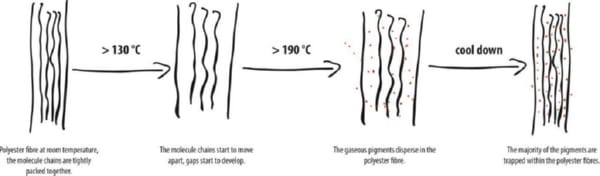 dye-migration-process