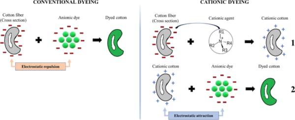 cationic-modifier-action-cotton-fibers