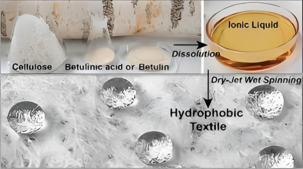 hydrophobic-film-on-cotton-fibers Hydrophobic Film on Cotton Fibers