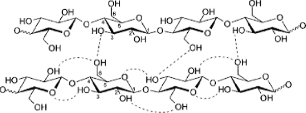 cellulose-hydrogen-bonds Cellulose and Hydrogen Bonds