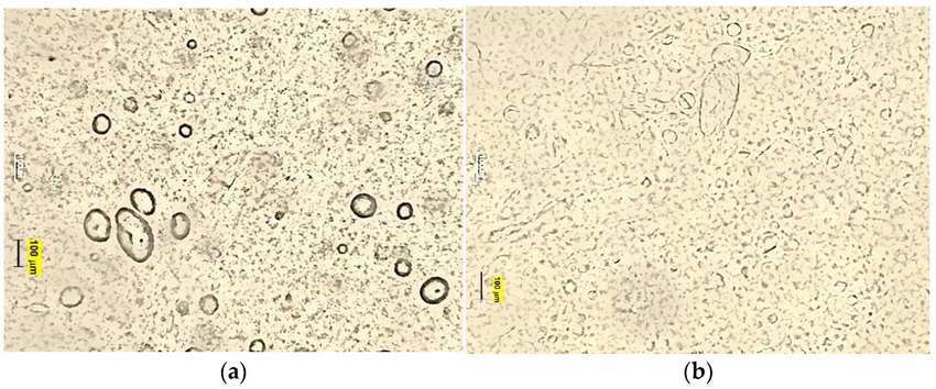 silicone-macro-emulsion-microscopic silicone-macro-emulsion-microscopic